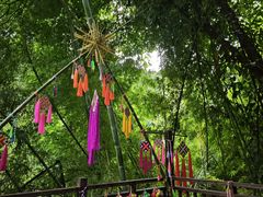 -西双版纳原始森林公园
