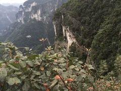-重庆云阳龙缸景区