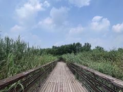 -马家湾湿地公园