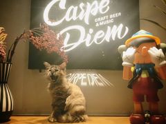 -Carpe Diem精酿空间
