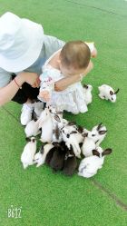 -萌宠亲子动物乐园(槐房万达店)