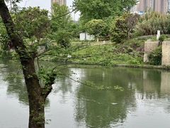 -府河摄影公园