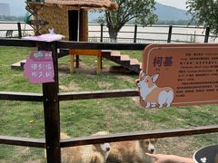 -长兴太湖图影湿地文化园