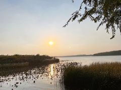 -丁香湖公园