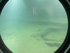 -白鹤梁水下博物馆