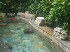 -韶关经律论国际酒店温泉