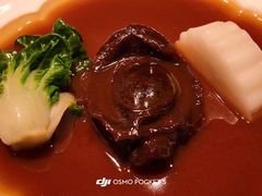 -觀芷隐轩