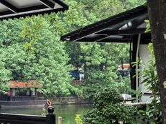 -侨美·唐荔园·40年地道粤菜