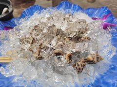 冰镇花螺-蚝专家(北滘店)