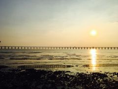 -宝安西湾红树林湿地公园