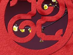 -中央广播电视总台(光华路办公区)