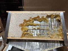 -无锡丽笙精选酒店