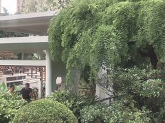 -兰溪青年公园