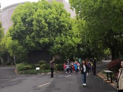 -上海市实验学校