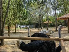 -大连森林动物园