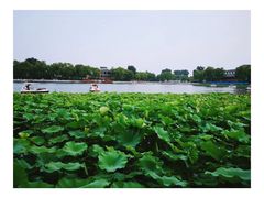 -小王府(什刹海店)