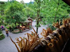 -青城甲(青城山店)