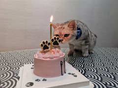 -醒味咖啡馆(南市桥巷店)