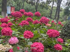 -常州古运河南大街文化旅游区-人民公园