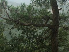 -溪口-滕头旅游景区