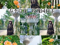 -武汉园博园(武汉自然博物馆)