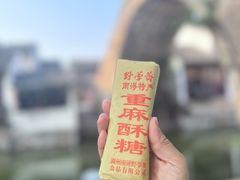 -野荸荠