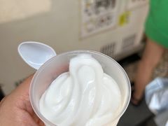 -洪馨椰子