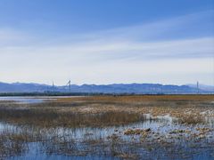-野鸭湖国家湿地公园