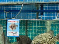 -范饭椰林川湘味海鲜·椰子鸡(三亚湾椰梦长廊店)