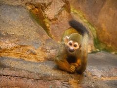 -泉城欧乐堡海洋极地世界