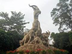 -小洲村
