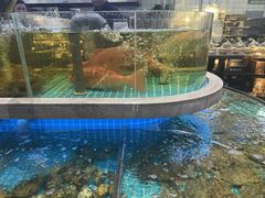 -大众海鲜(巨龙北路店)