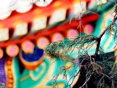 -颐和园