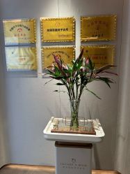 产妇服务-英芬国际月子中心(岛屿度假月子·洲至奢选香岚店)