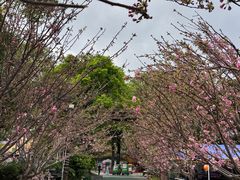 -广东花都香草世界旅游度假区