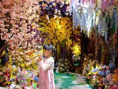 -正佳雨林生态植物园