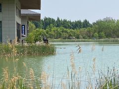 -林栖谷森林康养度假区