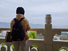 -庐山风景名胜区-东林大佛