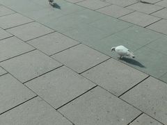 -裕华世纪公园