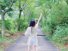 -江南天池