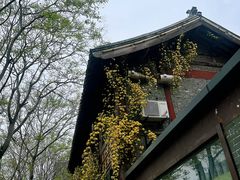 -四海楼(如皋定慧禅寺店)