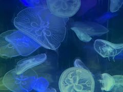 -欢乐海岸海洋奇梦馆