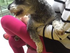 -爱侣宠医·鹦鹉专科·小型哺乳类·异宠专科(灵石路店)