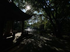 -望江楼公园