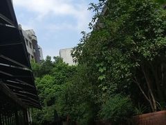-外婆家(杭州马塍店·杭帮菜名店)