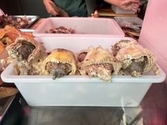 -洪记白水羊头(天坛店)