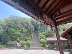 -铁山坪森林公园