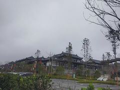-庐山风景名胜区-东林大佛