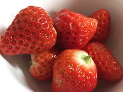 -PAGODA百果园(苏州金门路店)