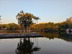 -荔湾湖公园